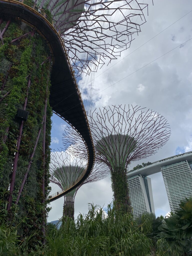 Gardens by the bay and marina bay sands