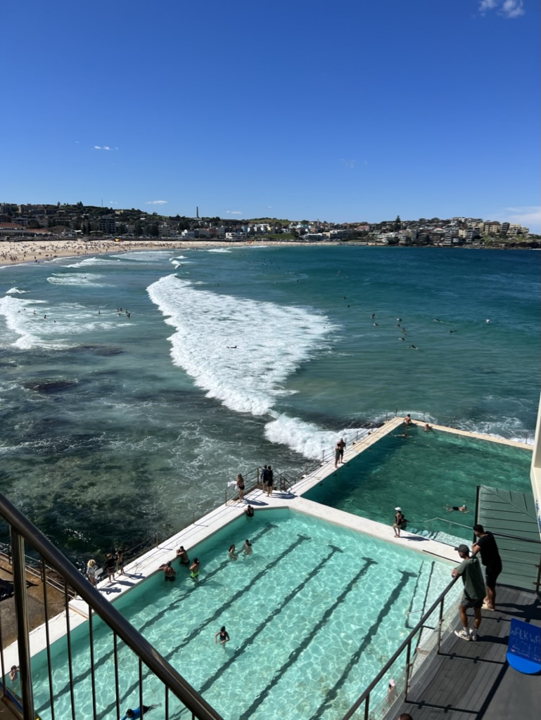 bondi icebergs