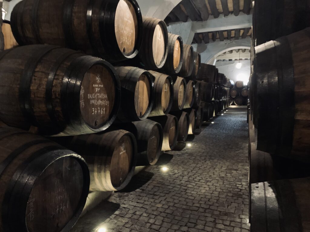 port wine tour in Gaia