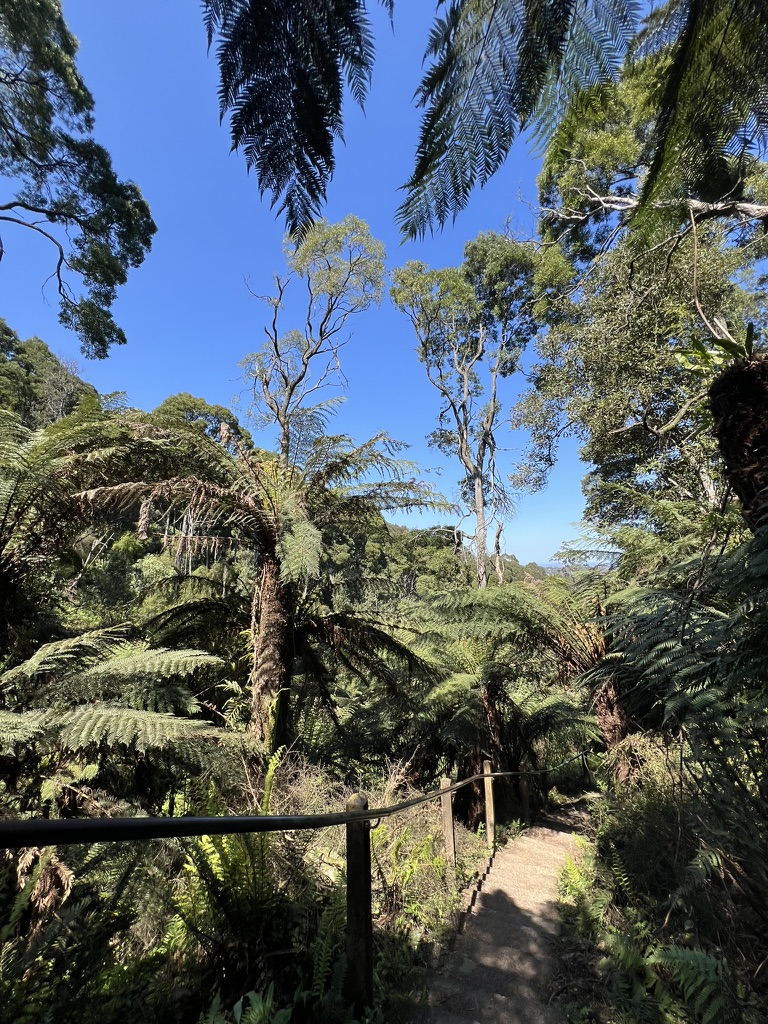 1000 steps melbourne