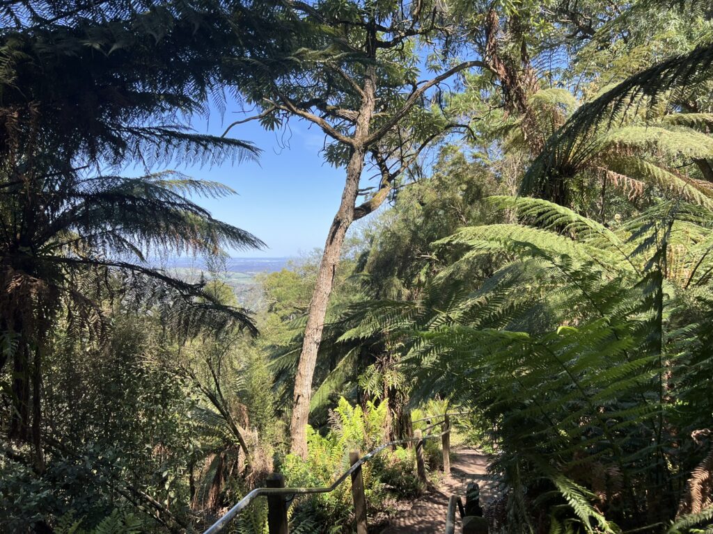 1000 steps dandenong