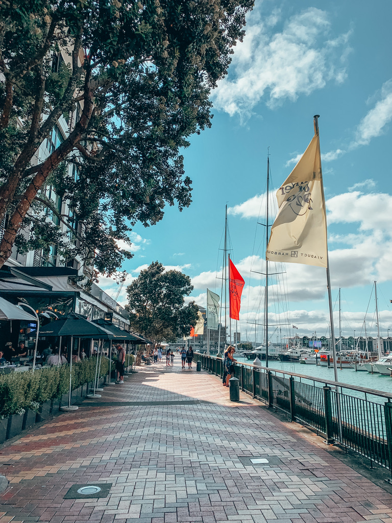 things to do in auckland